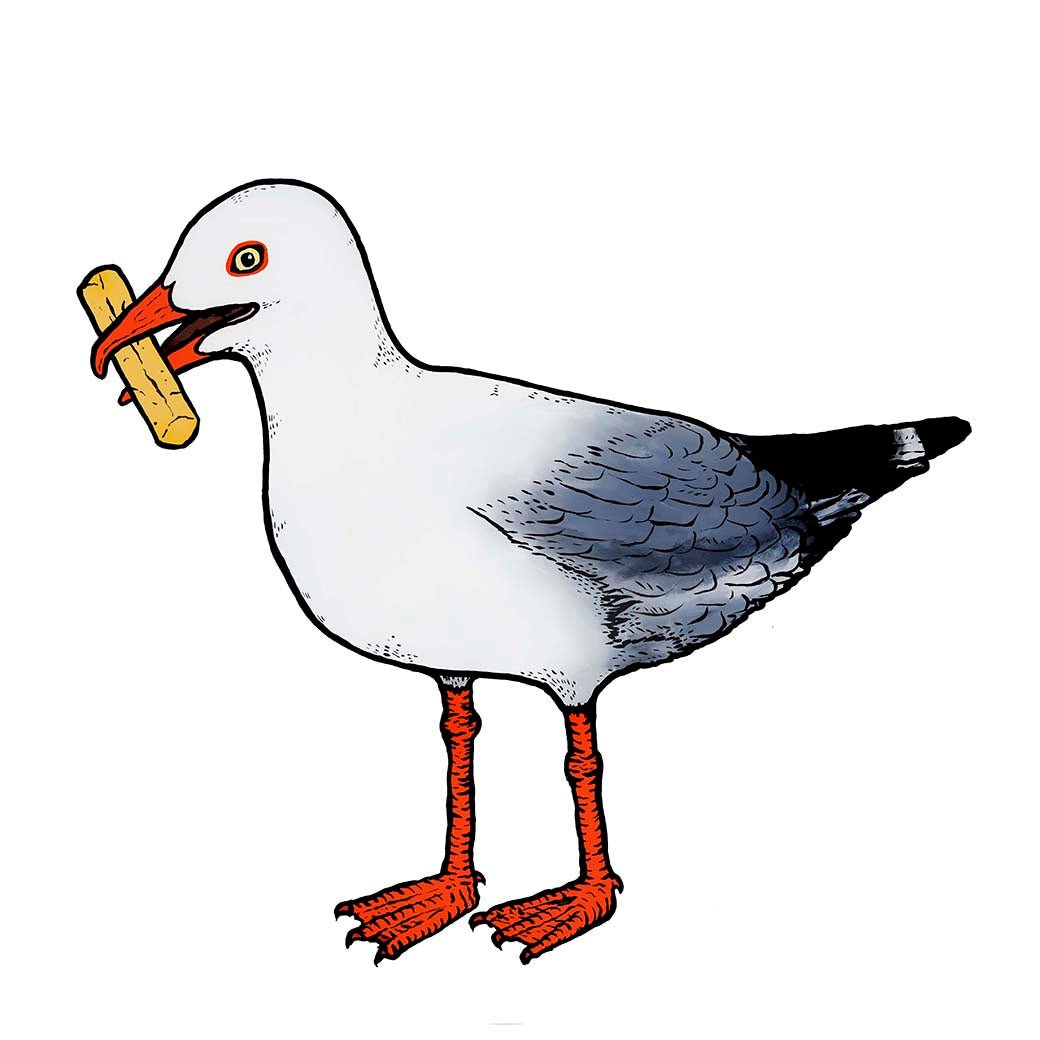 Seagull
