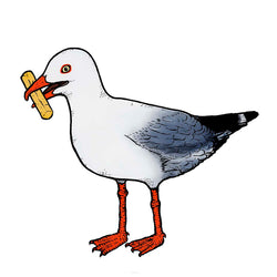 Seagull