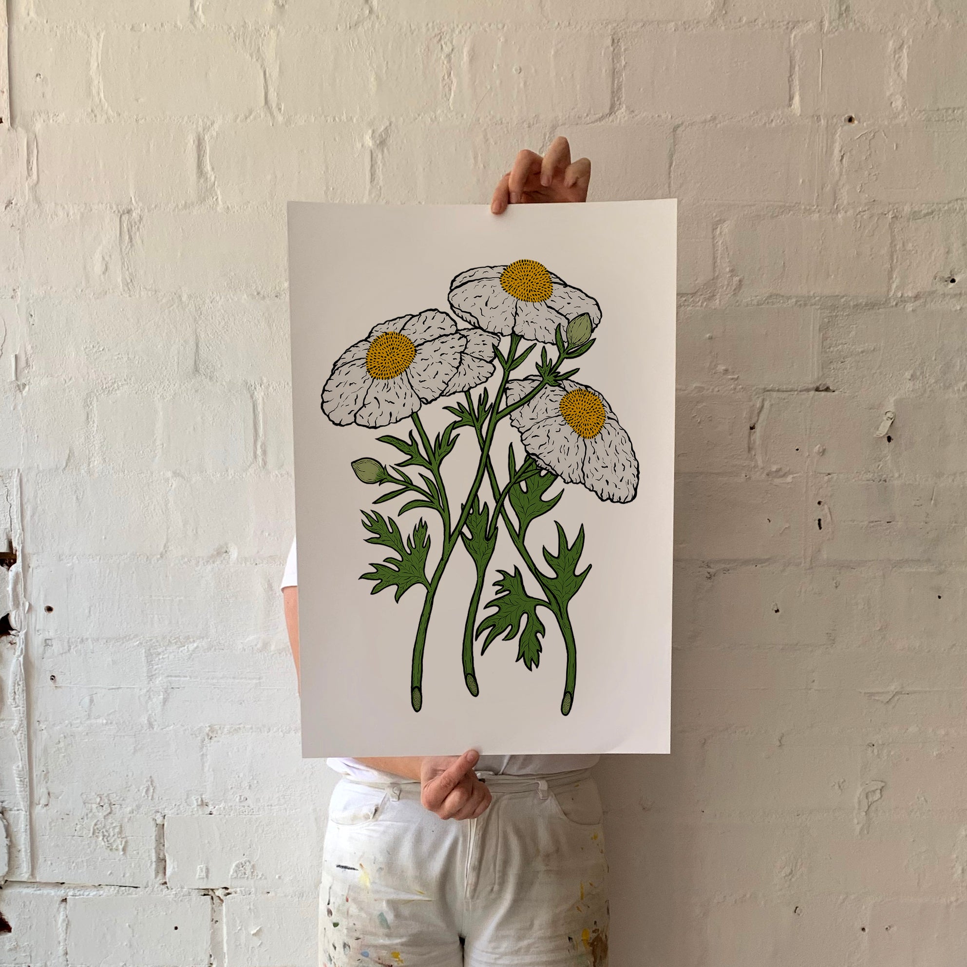 California Tree Poppy