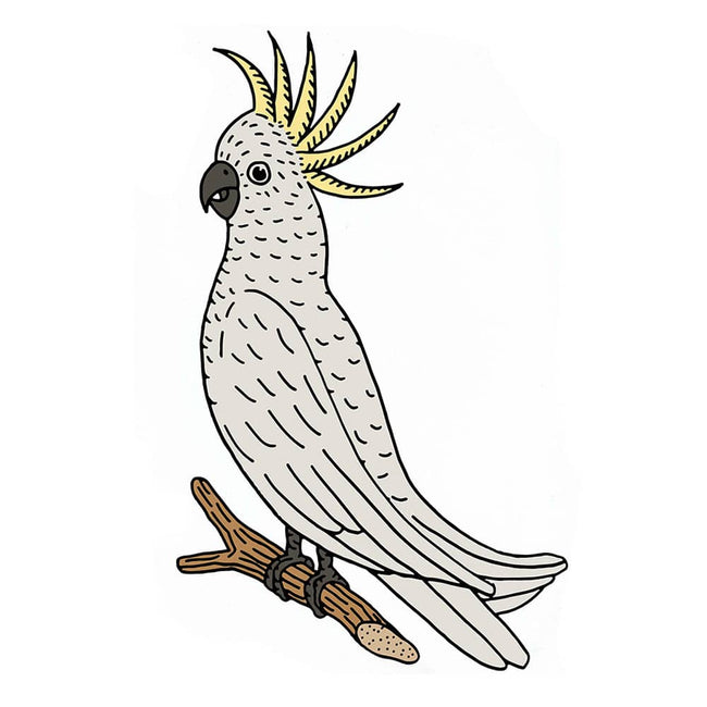 Cockatoo