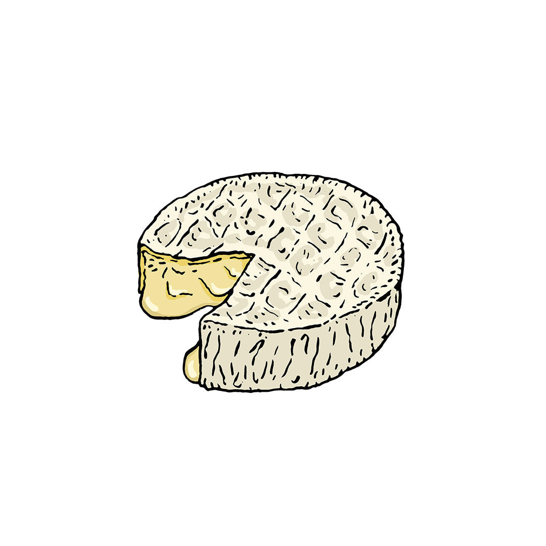 Soft Cheese