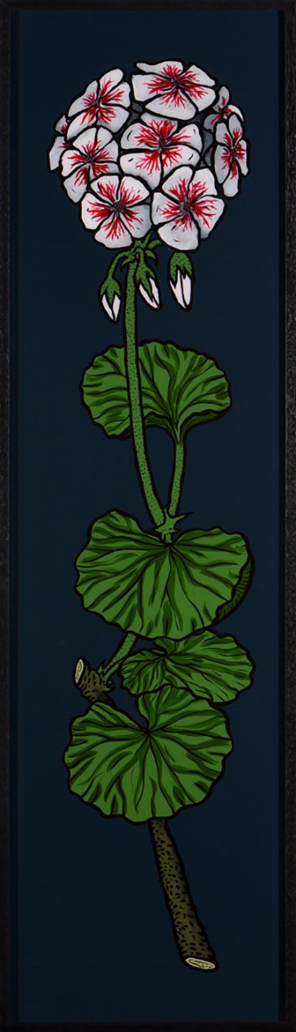 Geranium